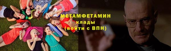 гидра Богданович