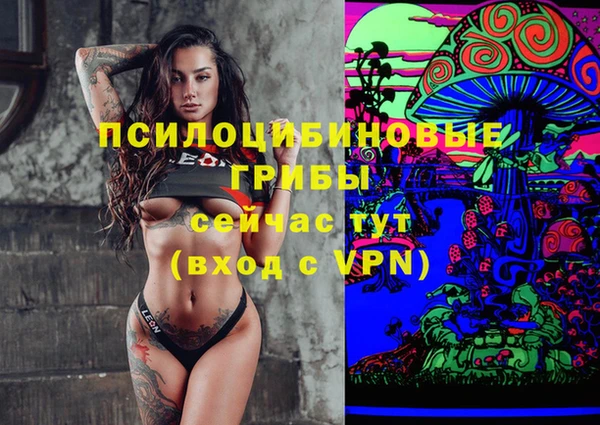 гидра Богданович