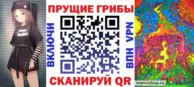 hydra tor  Старица  Галлюциногенные грибы Psilocybine cubensis 